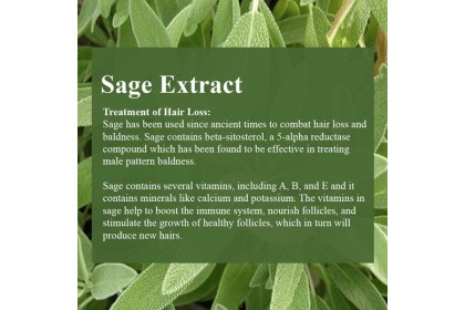 NATURE'S Rebalancing Shampoo
