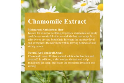 NATURE'S Rebalancing Shampoo